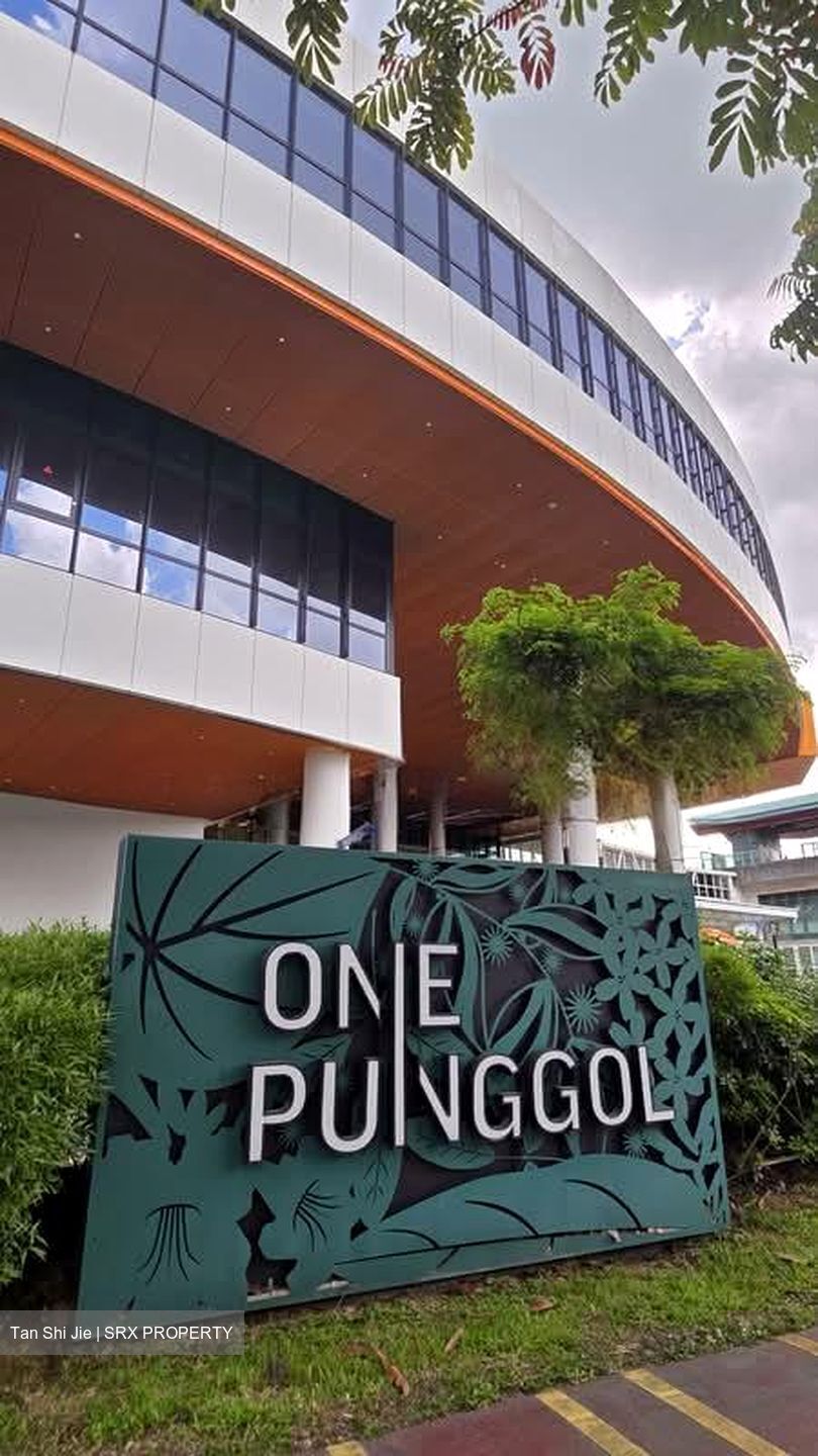 Blk 678C Waterway Brooks (Punggol), HDB 5 Rooms #557571981